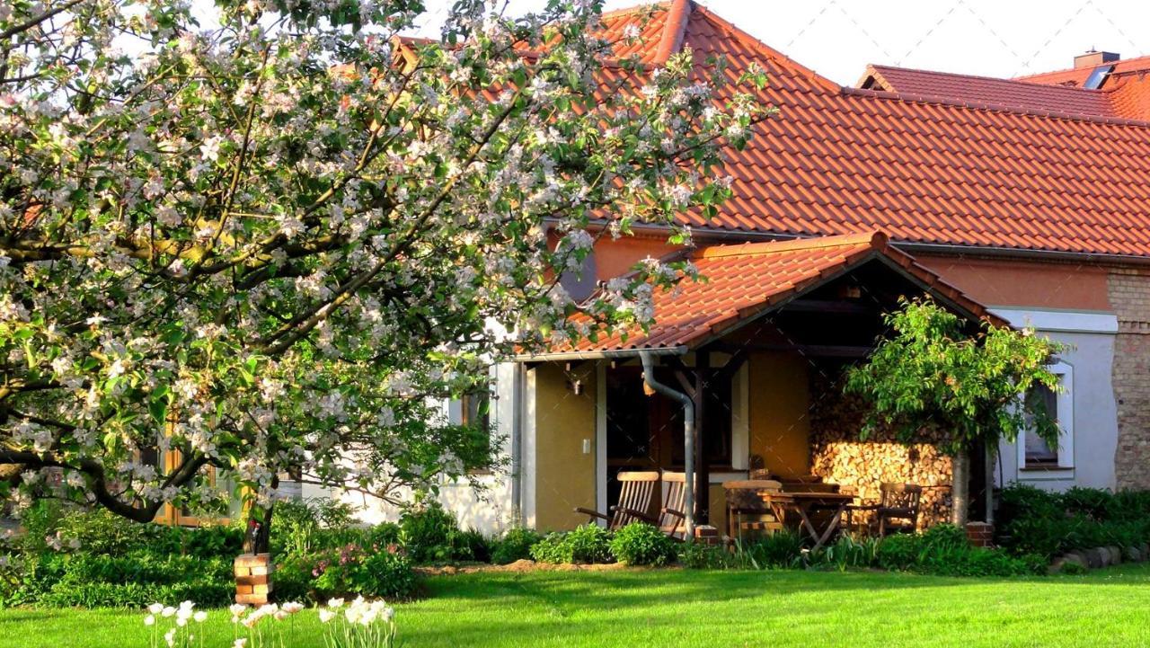 Janischs Fewo Im Spreewald, Terrasse, Grosser Garten Und Blick Inklusive Unterspreewald Exterior foto
