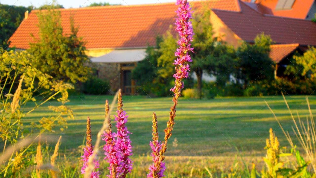Janischs Fewo Im Spreewald, Terrasse, Grosser Garten Und Blick Inklusive Unterspreewald Exterior foto