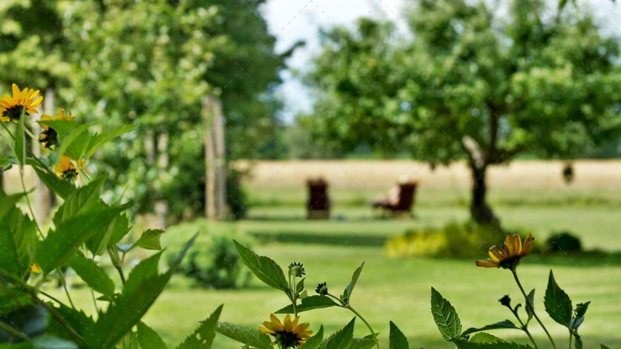 Janischs Fewo Im Spreewald, Terrasse, Grosser Garten Und Blick Inklusive Unterspreewald Exterior foto